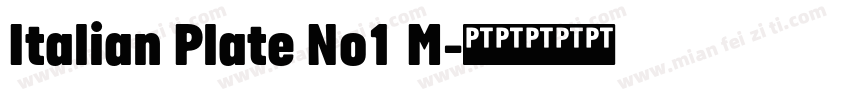 Italian Plate No1 M字体转换